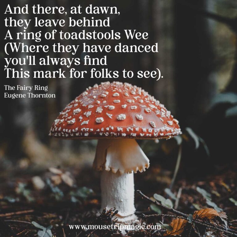 Fairy Captions for Fae Photos!