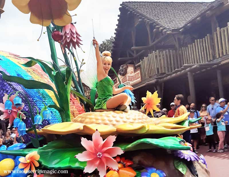 Tinkerbell at Magic Kingdom